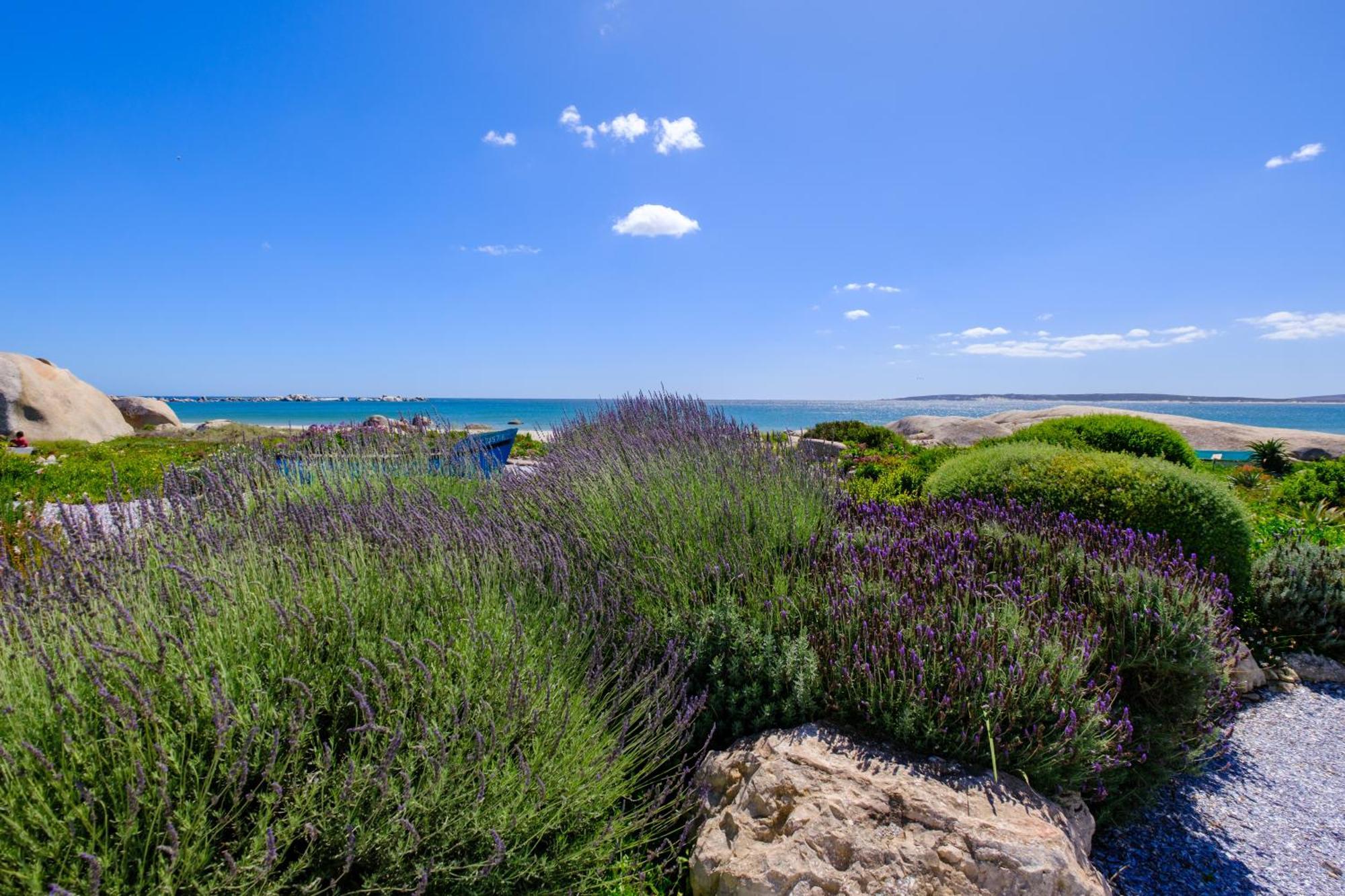 Dankbaar Holiday Home Paternoster Kültér fotó